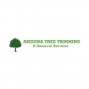 Arizona Tree Trimming & Removal - Scottsdale AZ Avatar